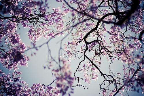 Profile image of - LaKIWI