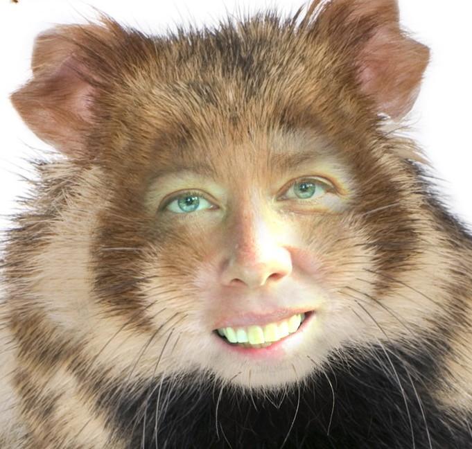 Profile image of - zuendschnur