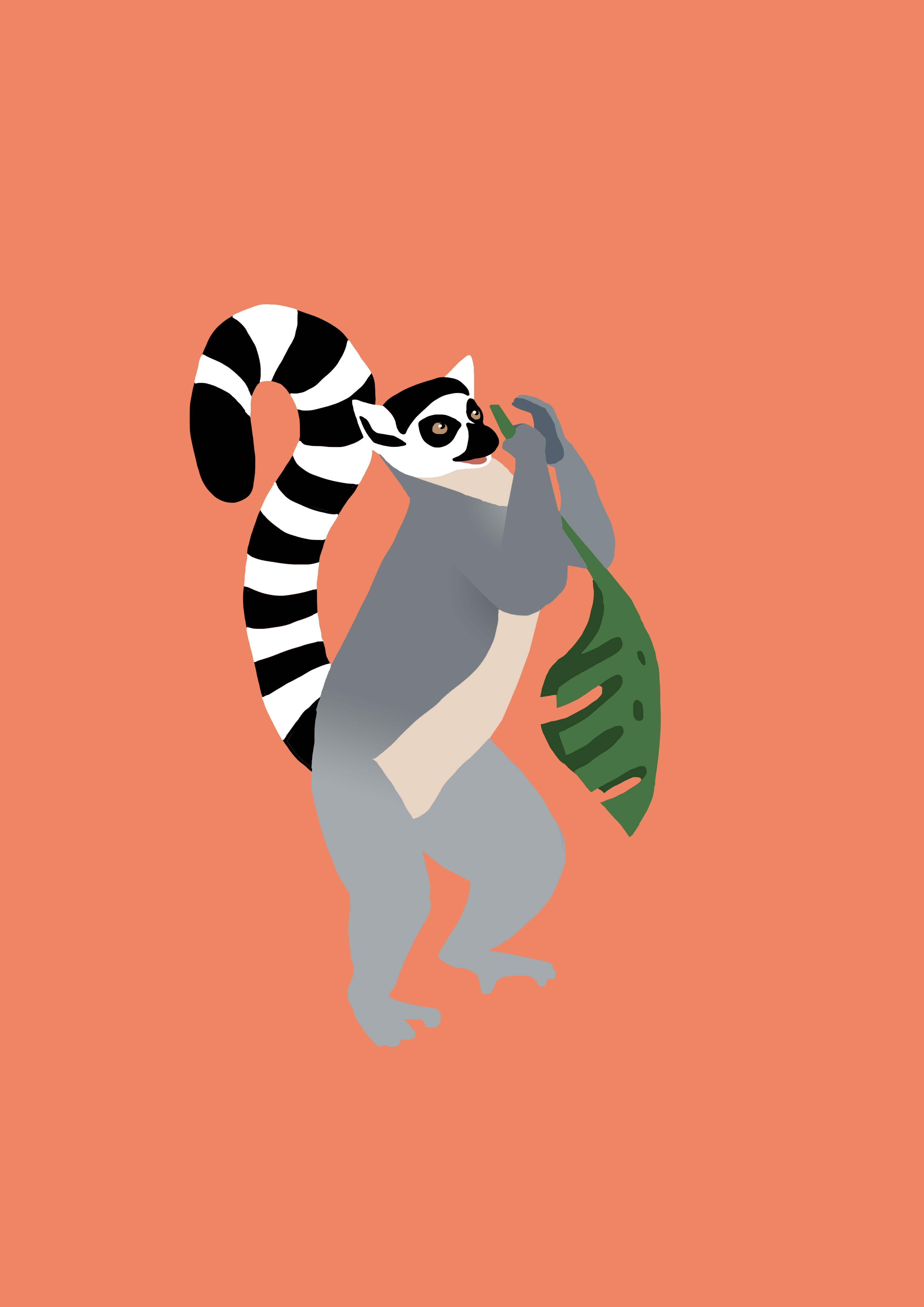 Profile image of - catta