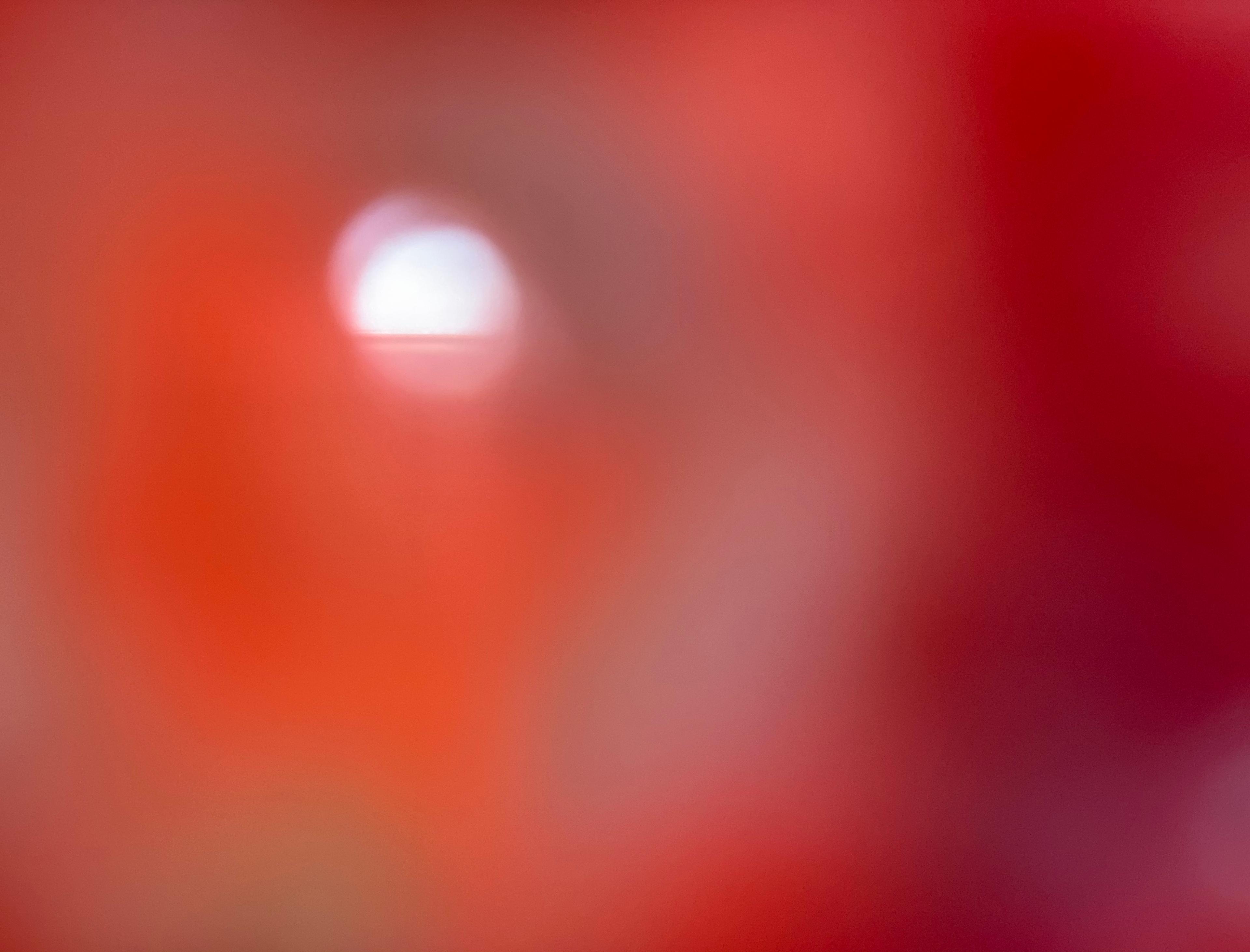 Profile image of - Ruth von Seen