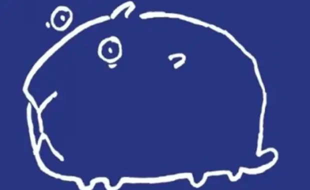 Ein Meerschweinchen kommt selten allein