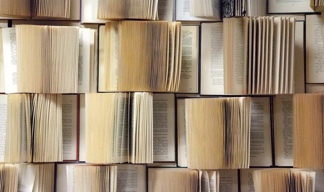 Streitpunkt Literatur