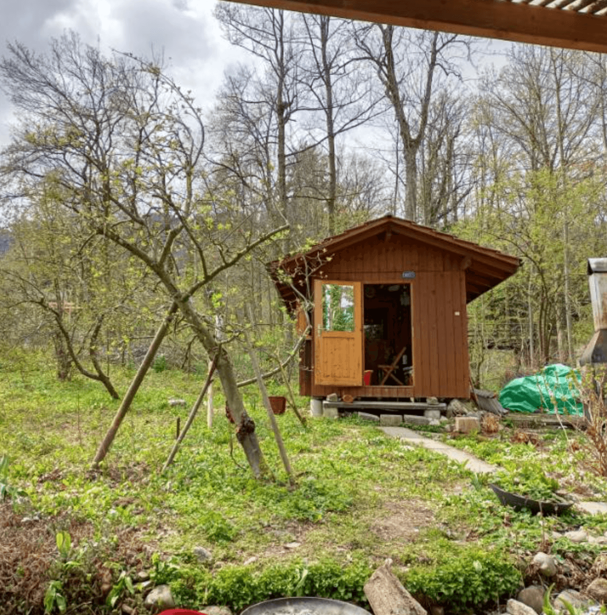 Imker:in gesucht für kollektives Gartenprojekt - 1