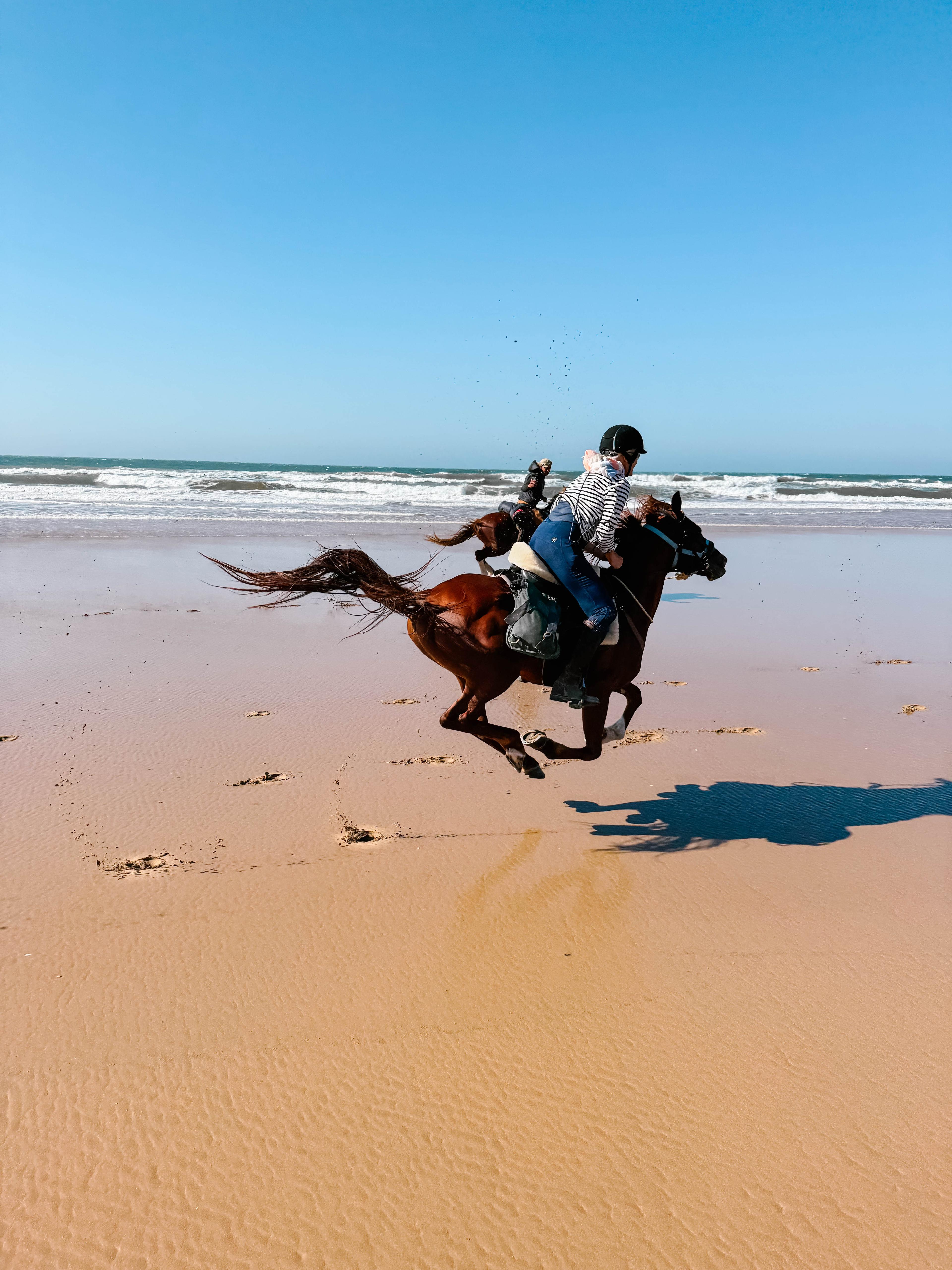 Reiten & Yoga Retreats - 3