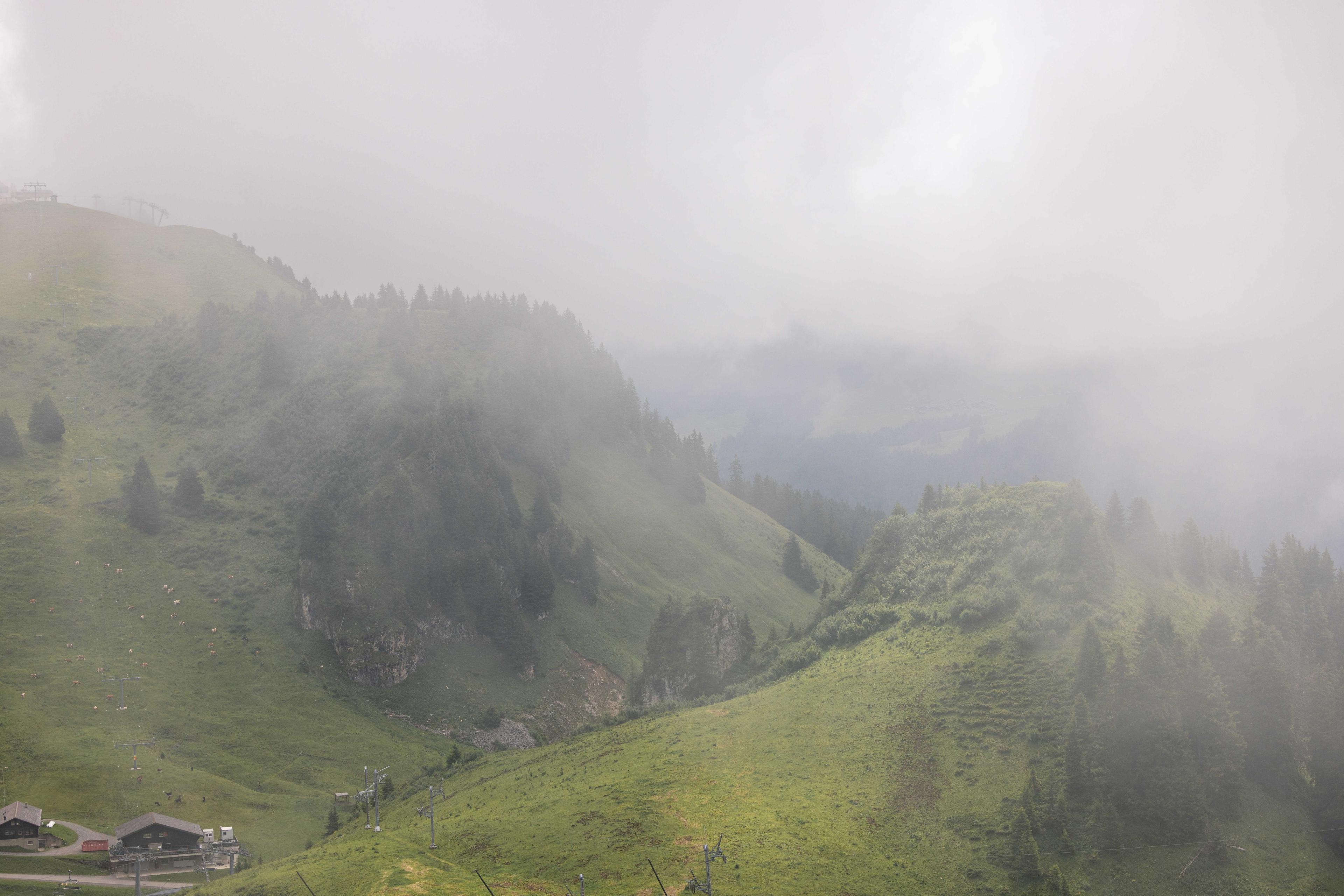 Phototrip image