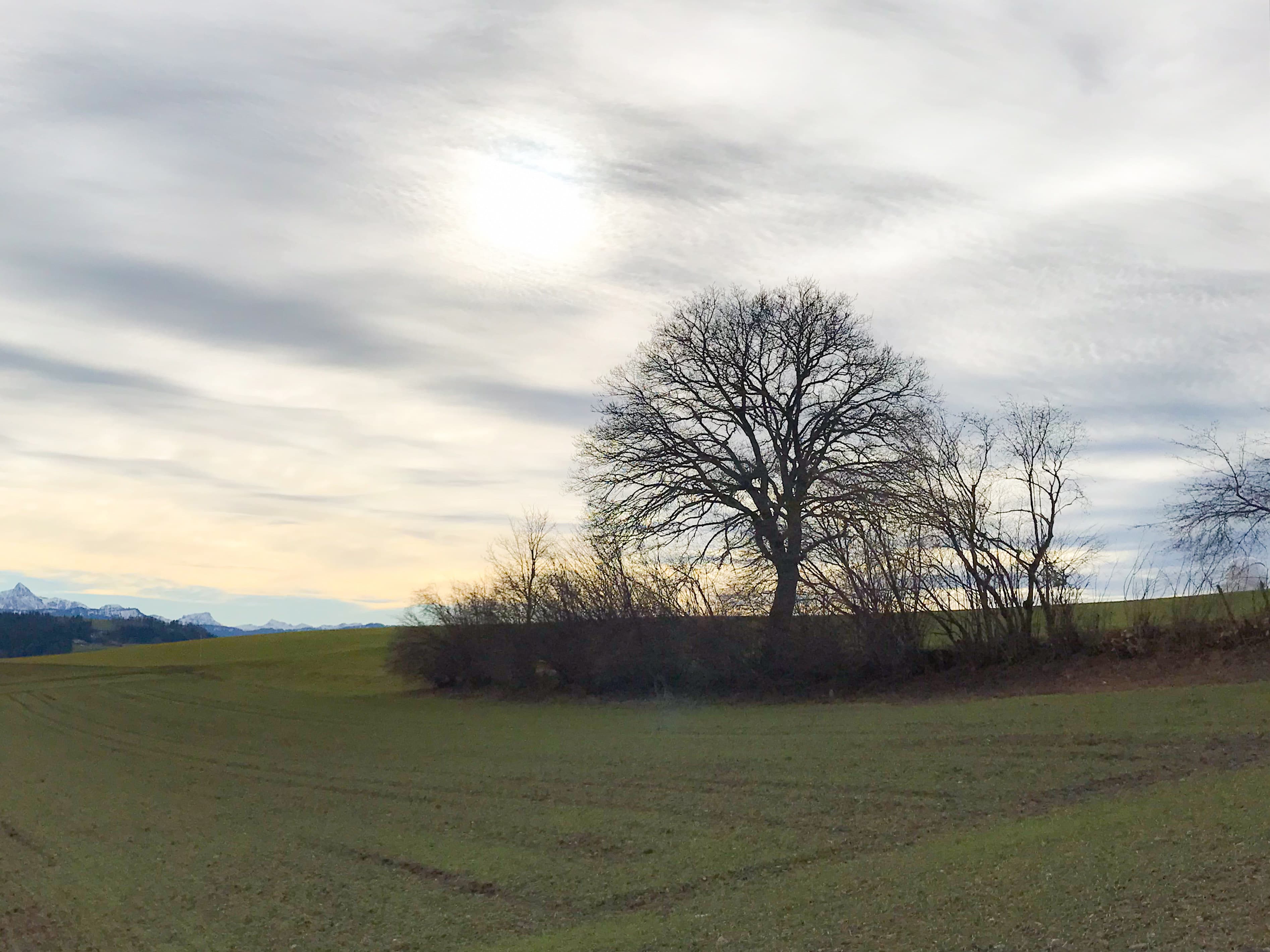 Phototrip image