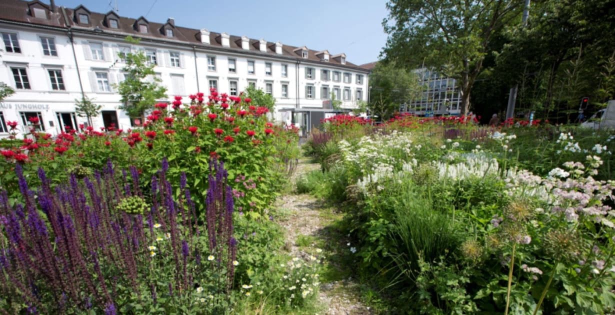 Natur findet Stadt