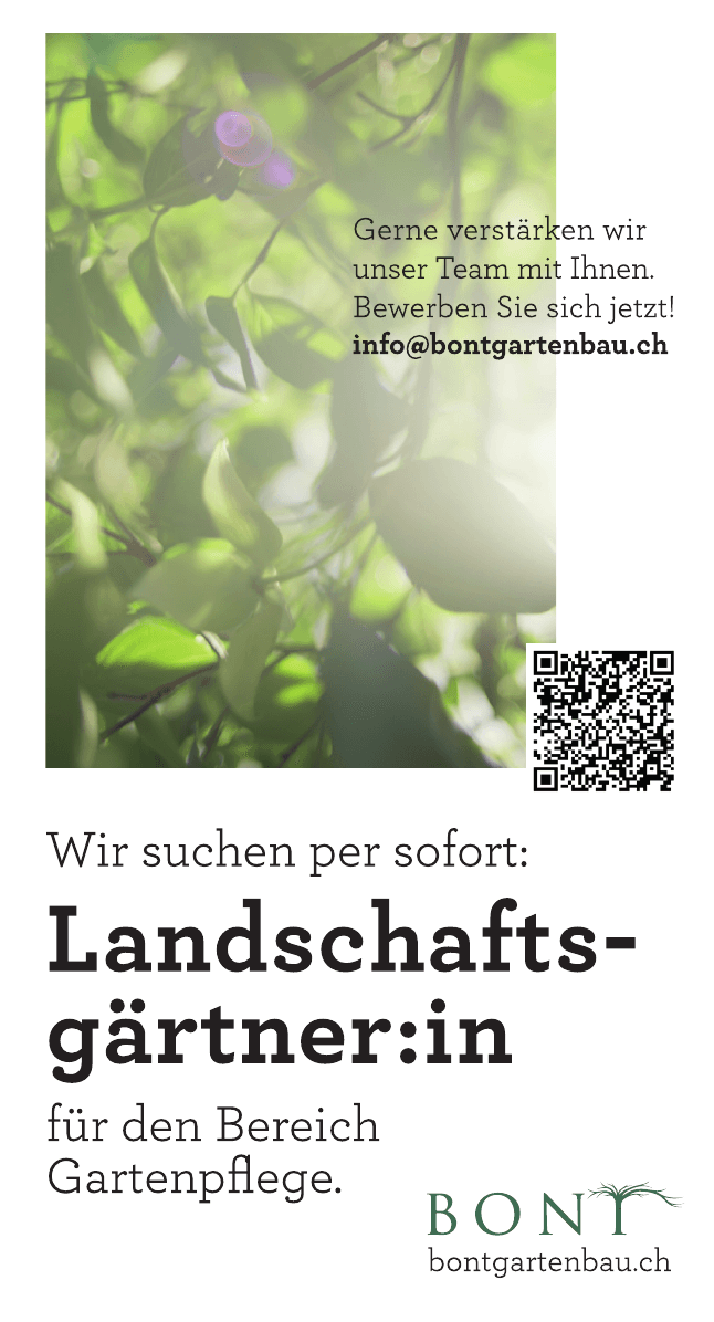 Wir suchen per sofort: Landschaftsgärtner:in - 1
