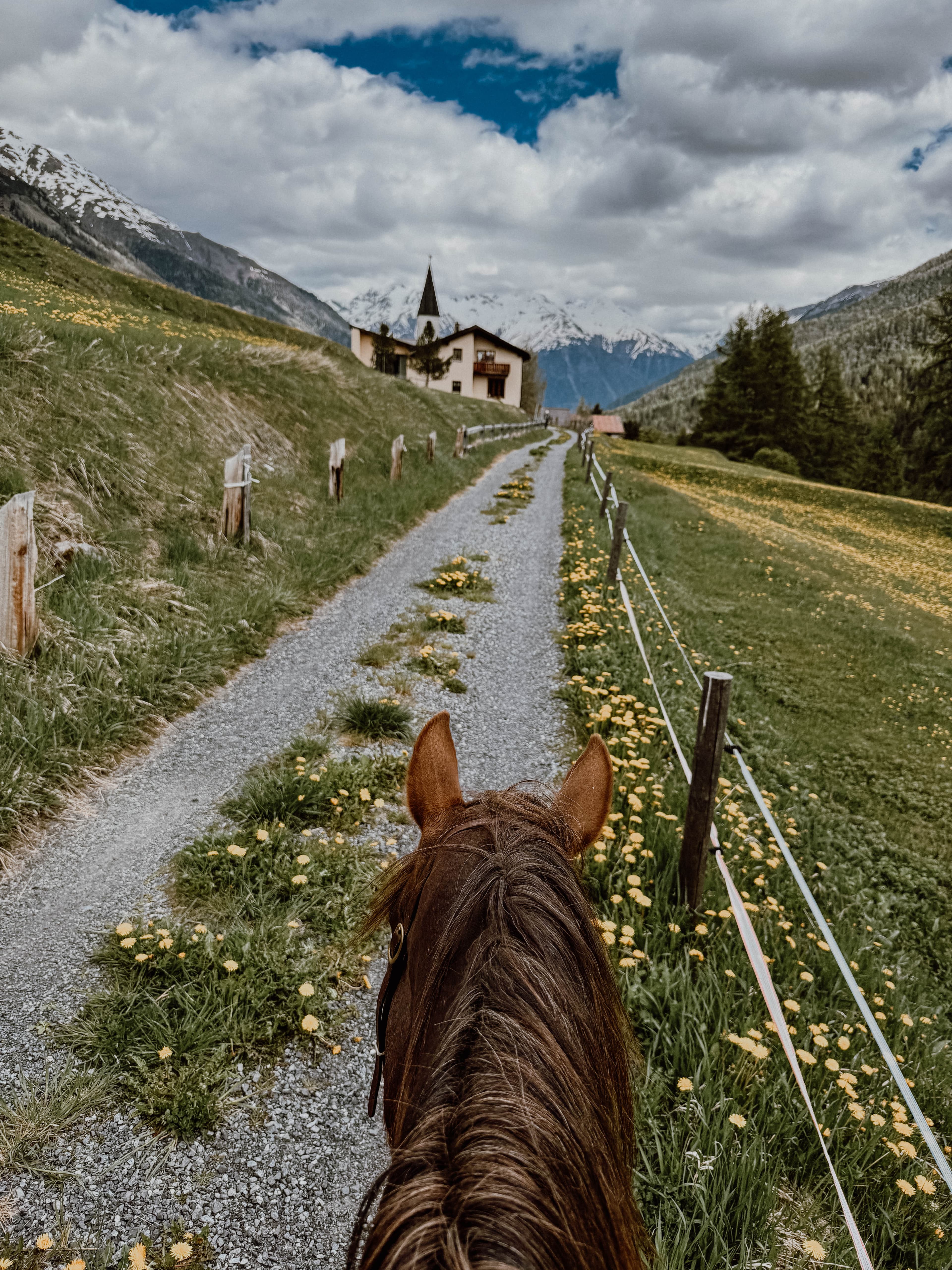 Reiten & Yoga Retreats - 1