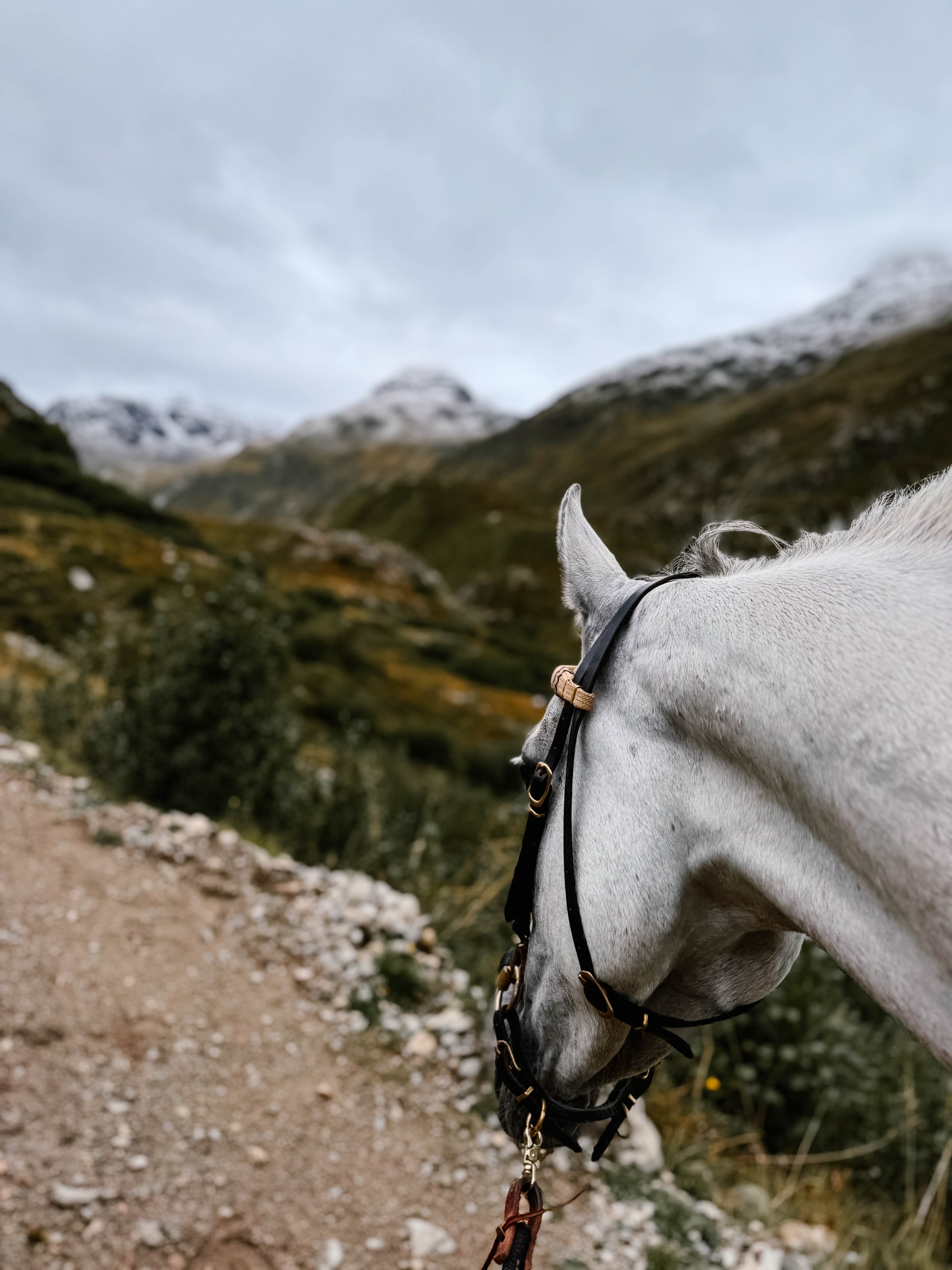 Reiten & Yoga Retreats - 3