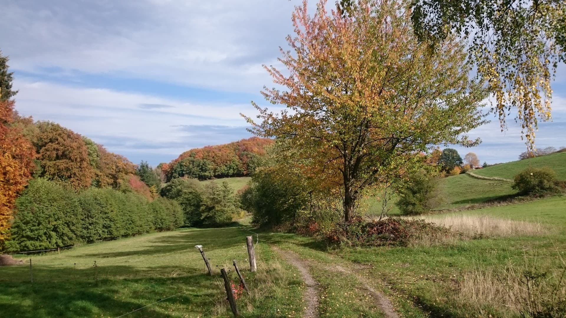 Landschaft im Film
