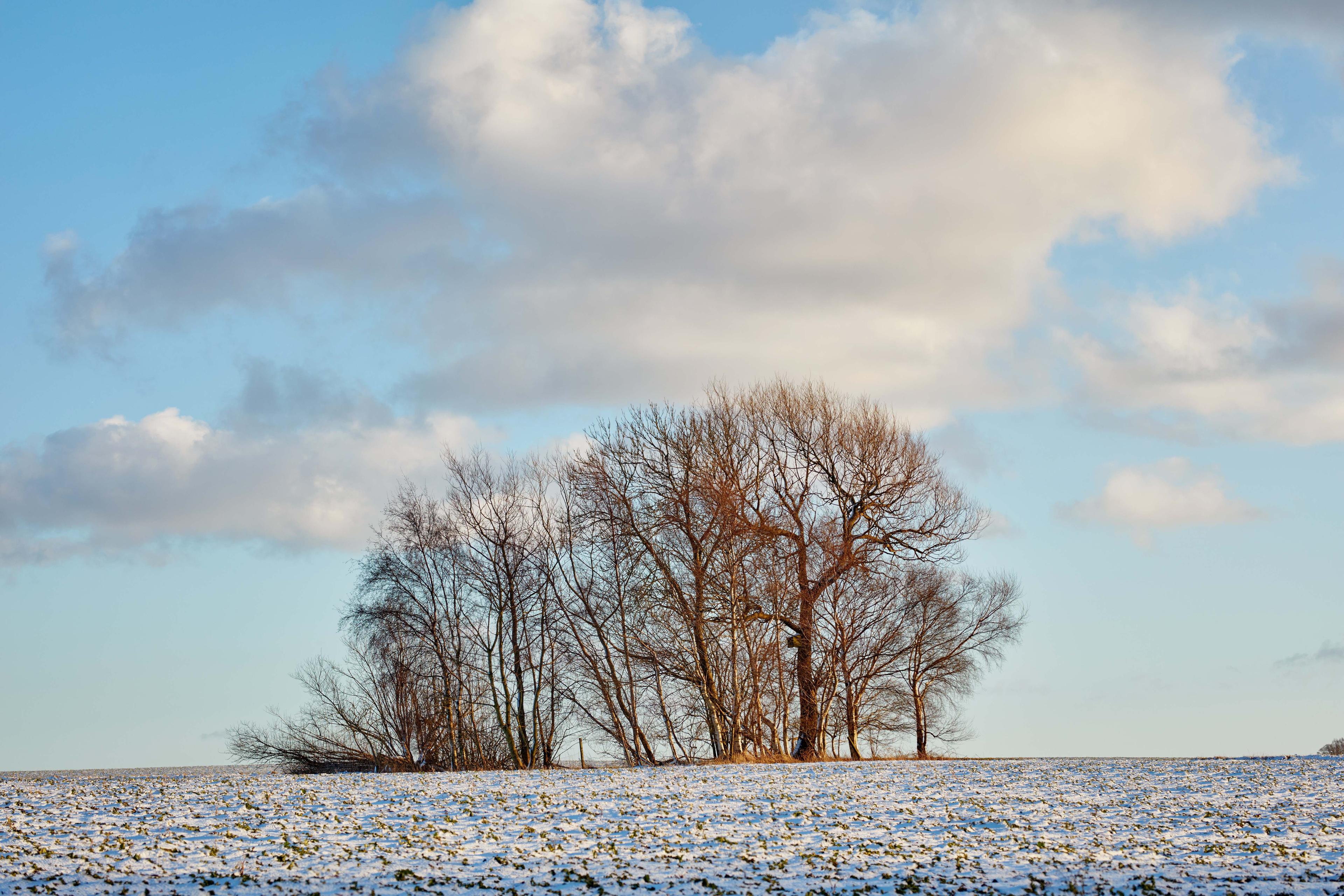 Phototrip image