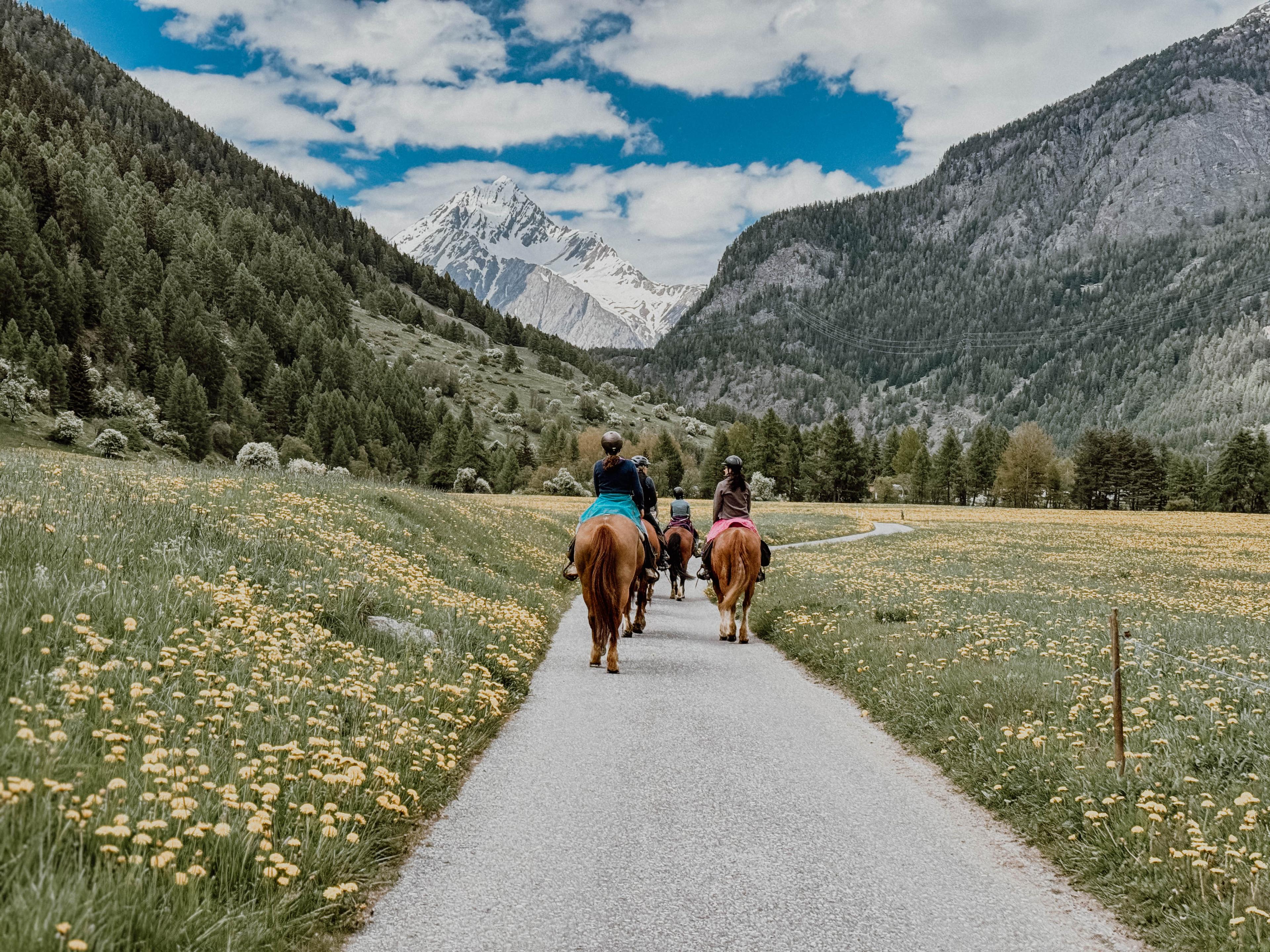 Reiten & Yoga Retreats - 3
