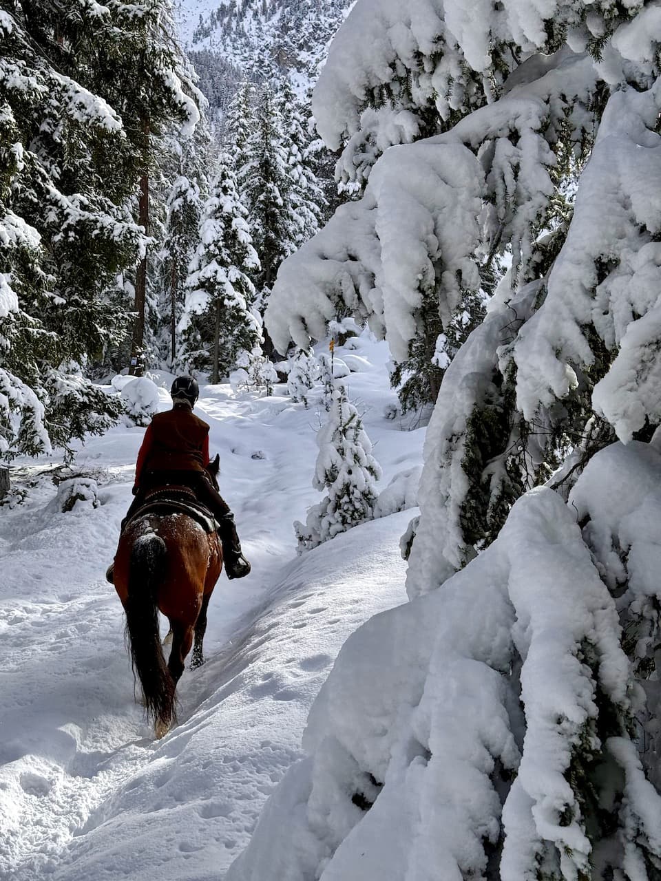 Reiten & Yoga Retreats - 3