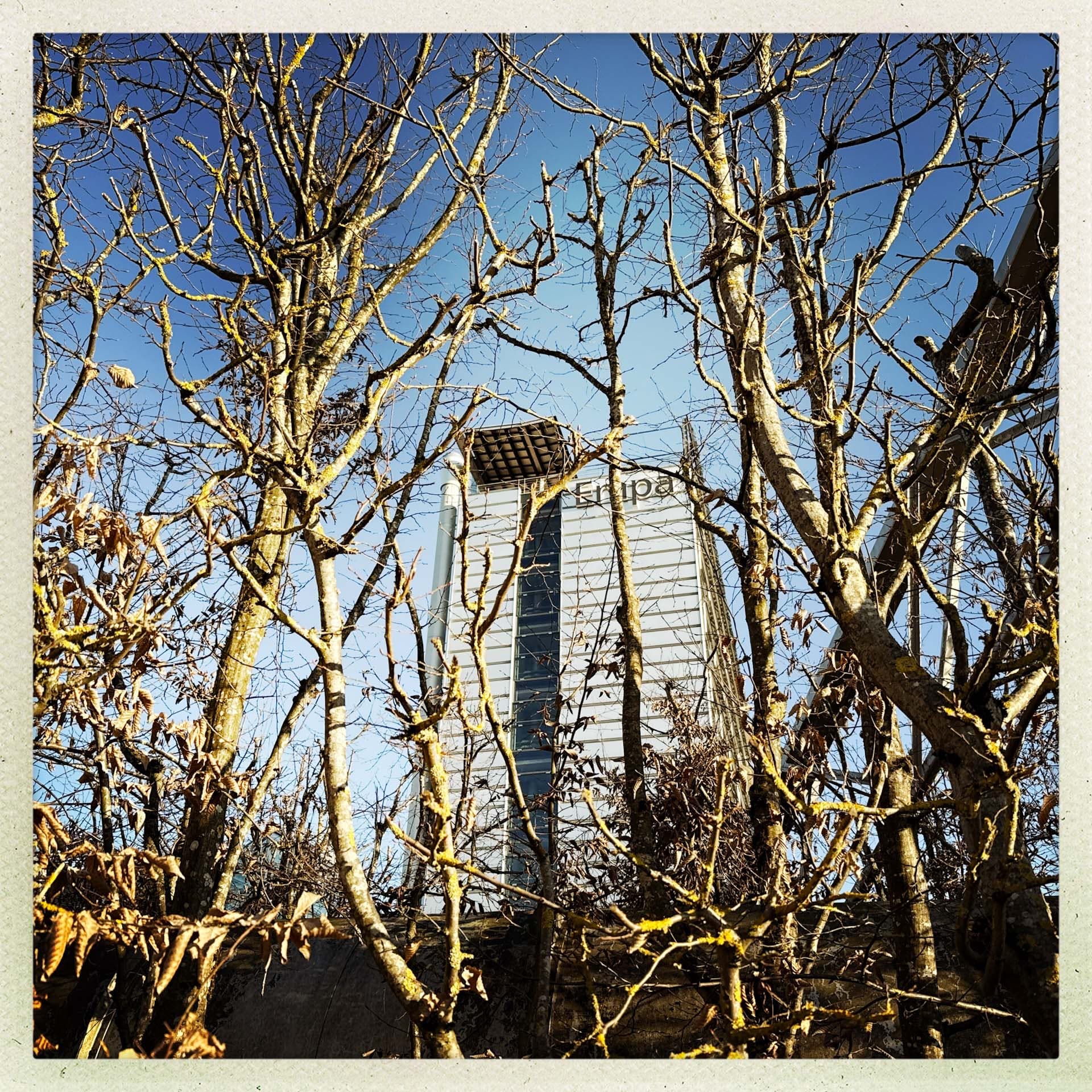 Phototrip image