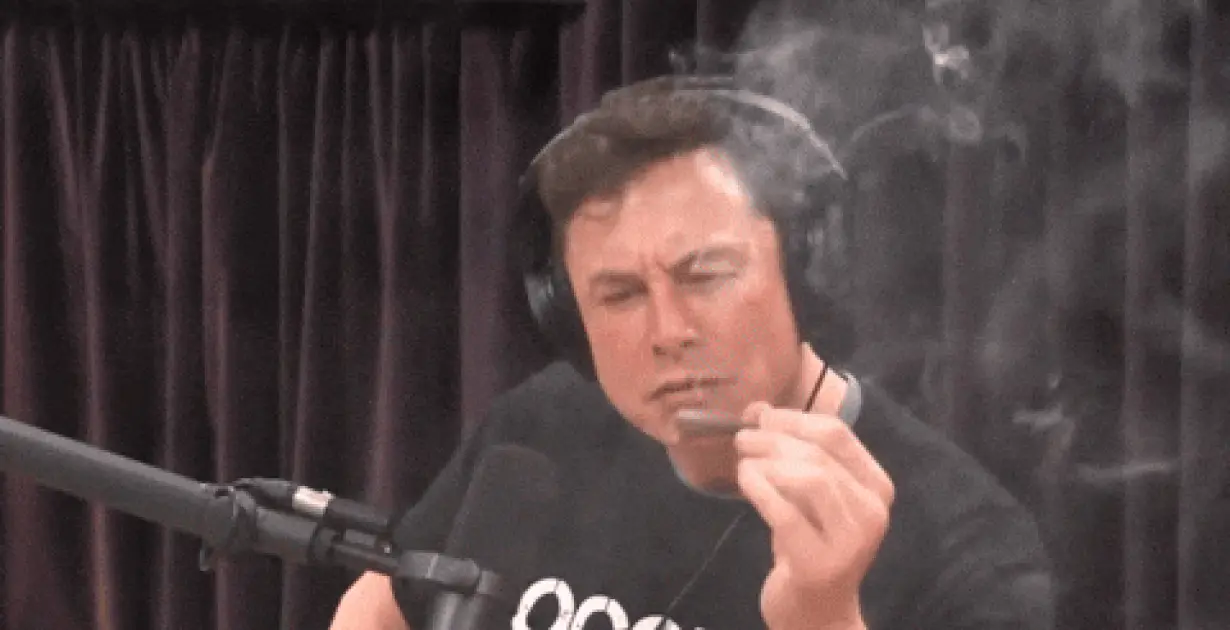 Spend Elon's Wealth - Try It