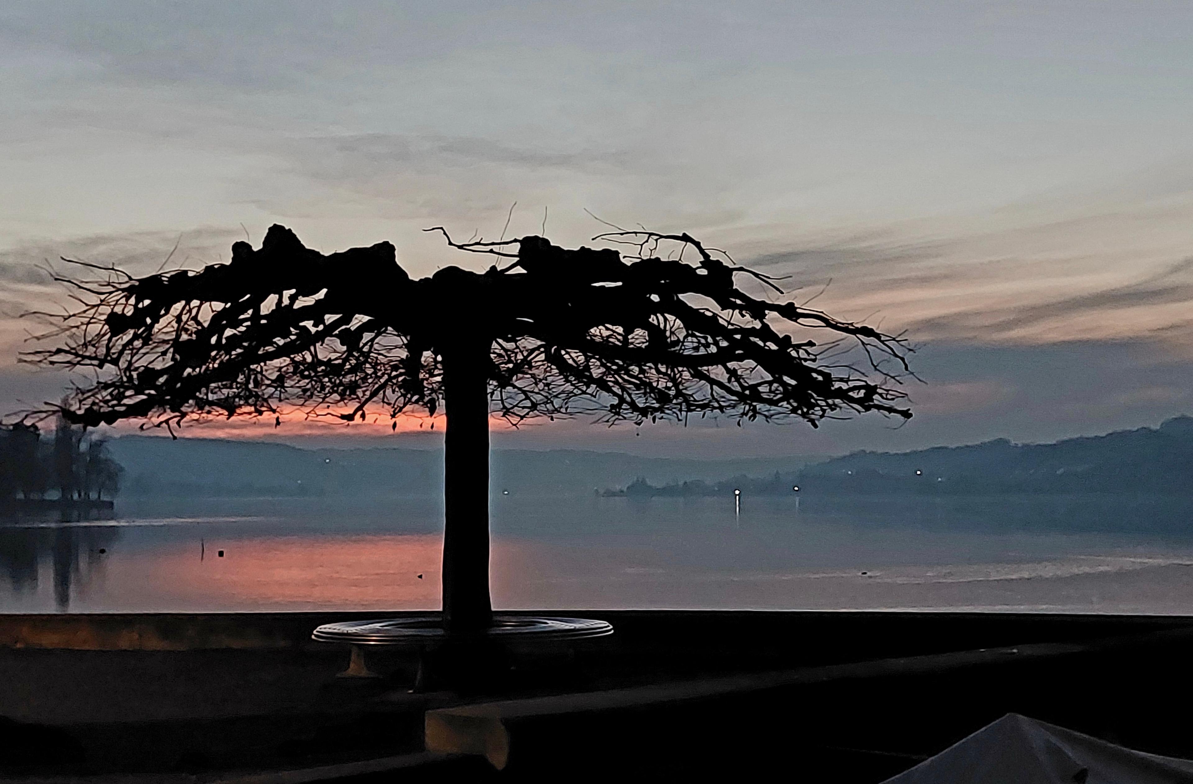 Phototrip image