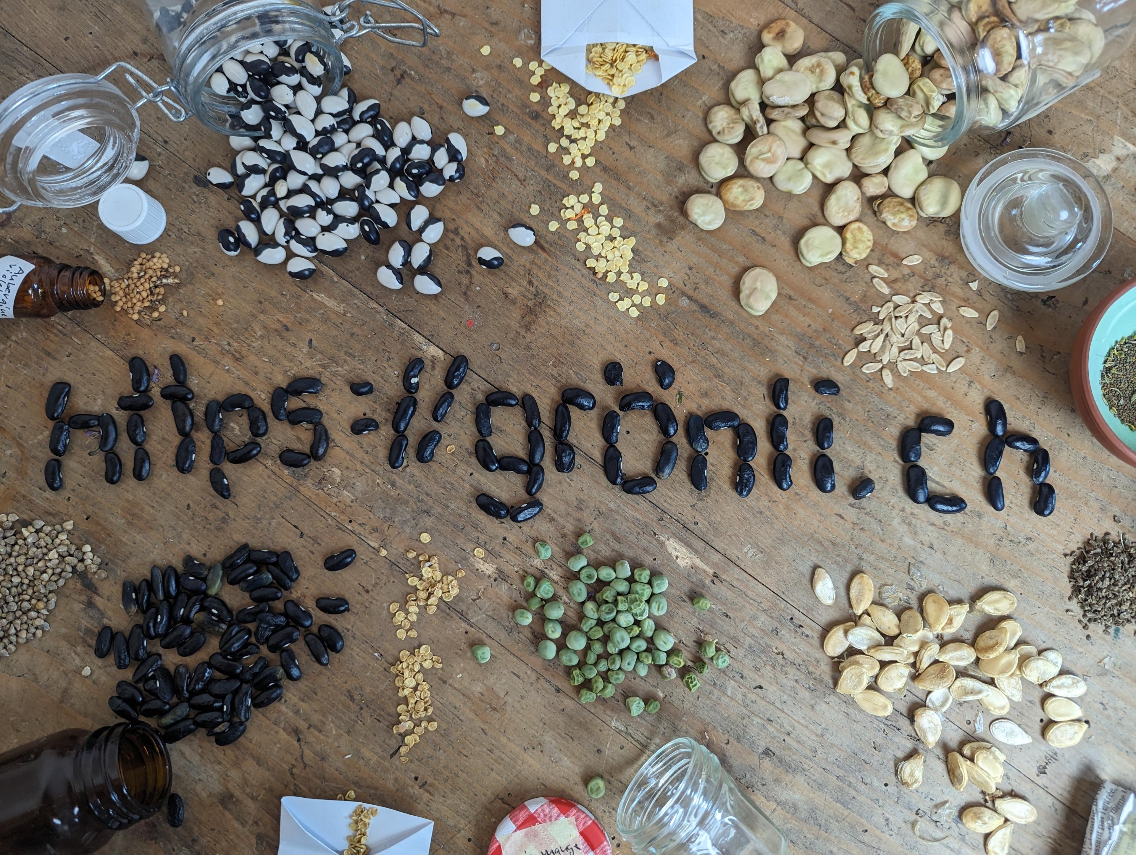Grönli ist endlich online! 🌱 - 1