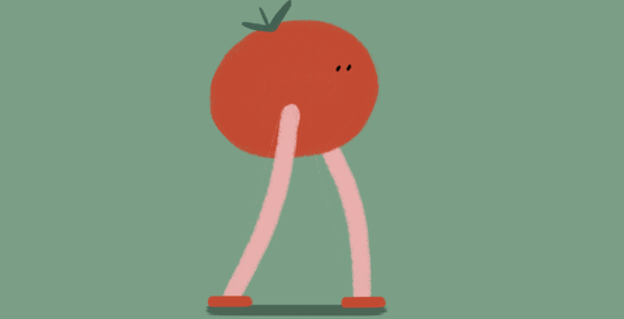 Tomaten fürs Volk