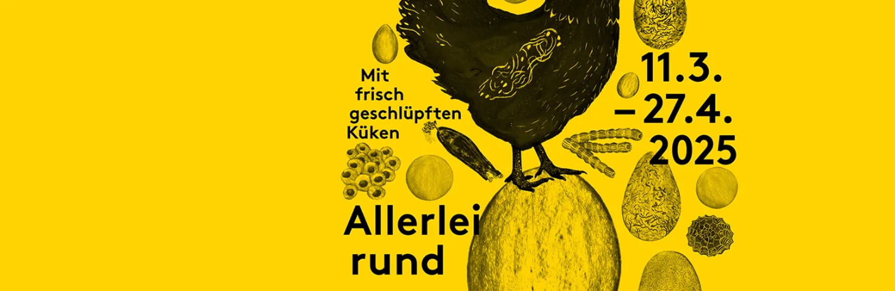 Allerlei rund um das Ei