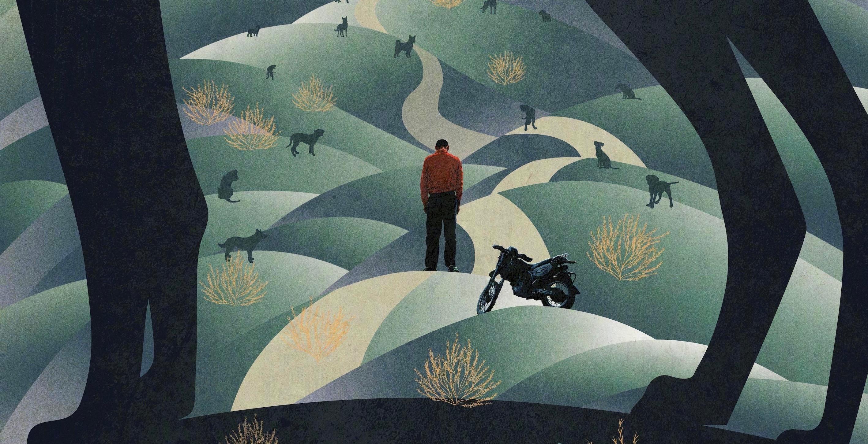 Ron schaut: «Black Dog» - Gou Zhen