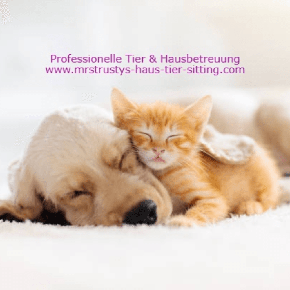 Profile image of - Pet & House Sitting International