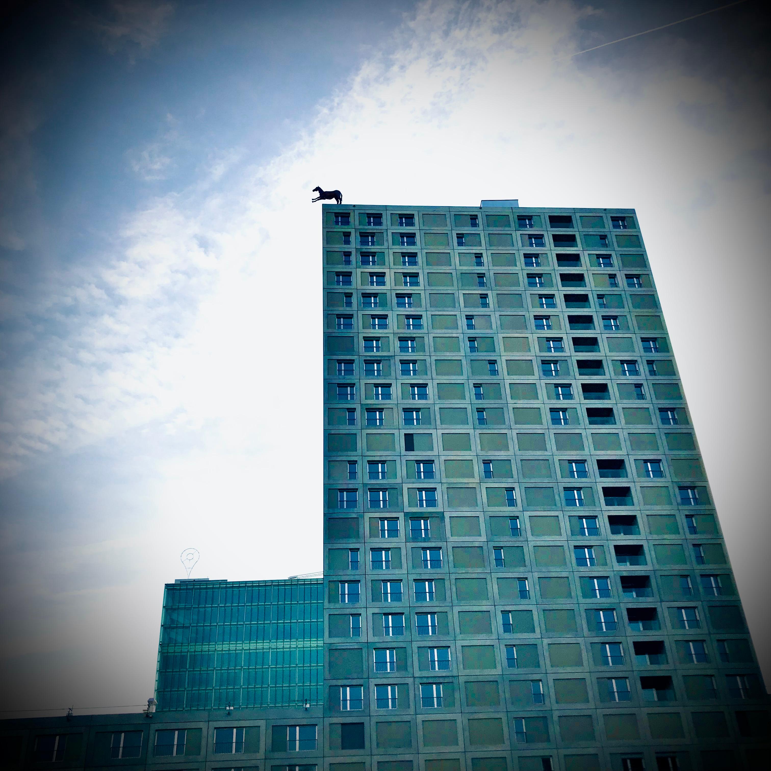Phototrip image