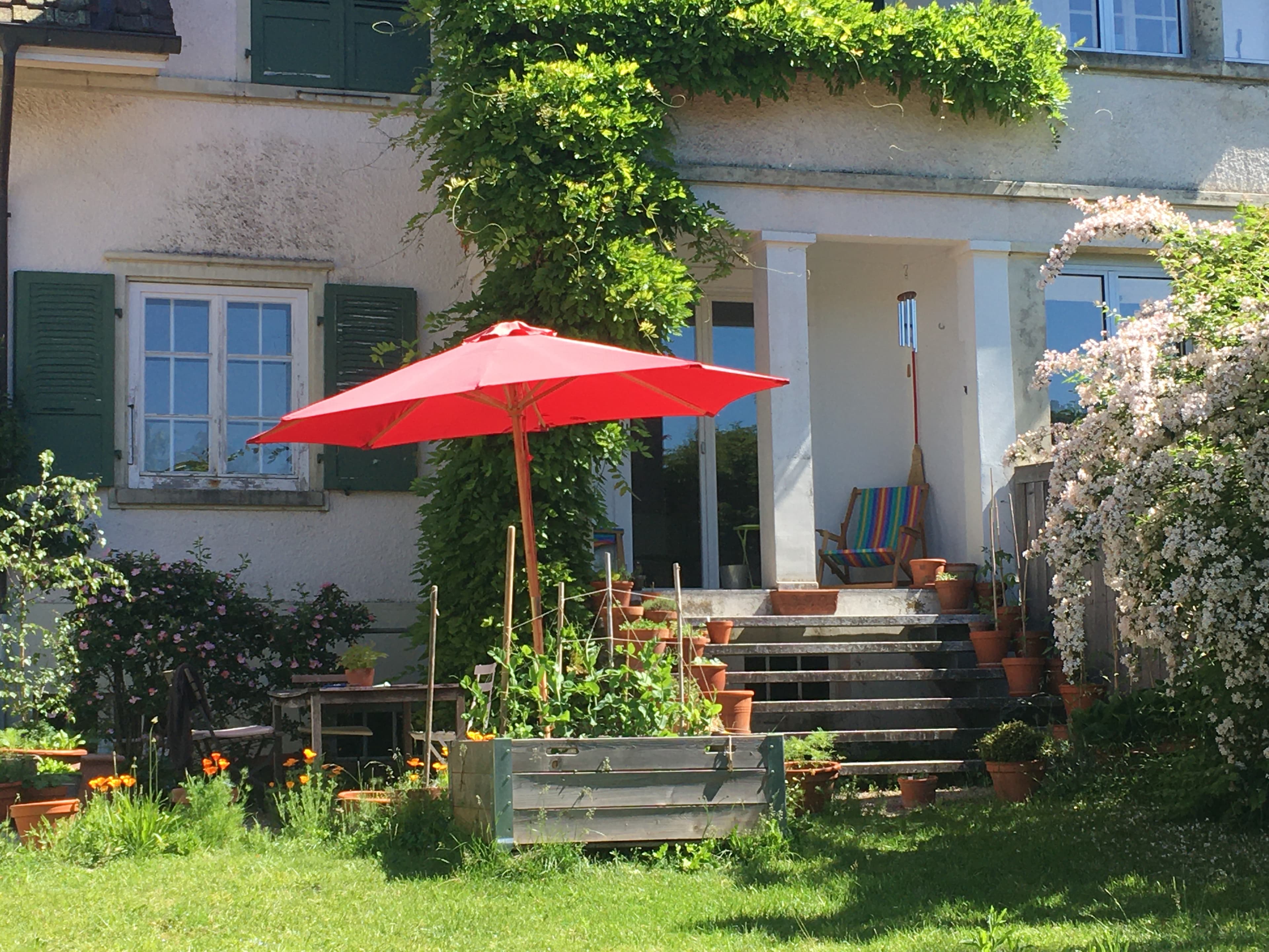 Gartenhilfe gesucht - 1