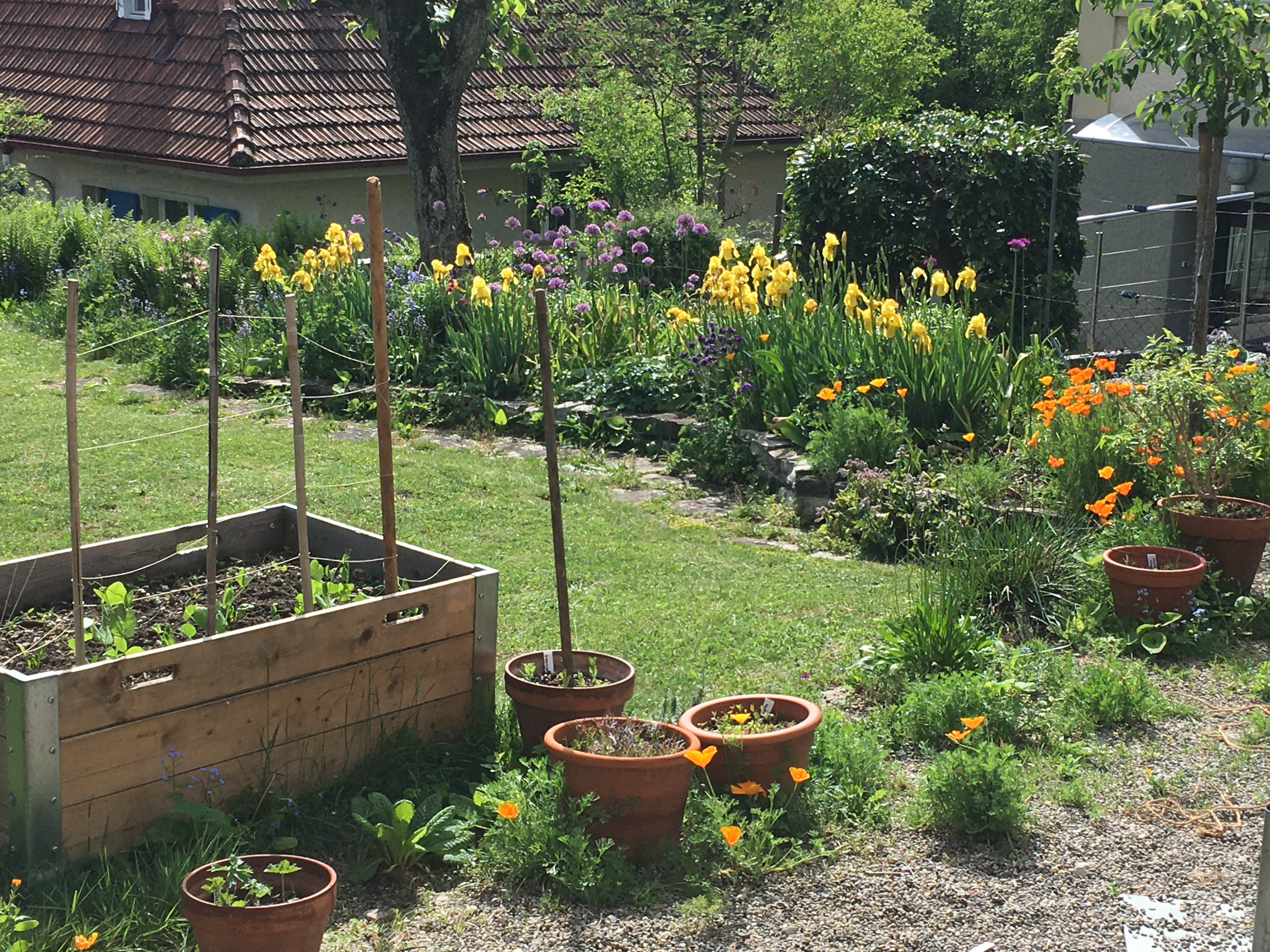 Gartenhilfe gesucht - 2
