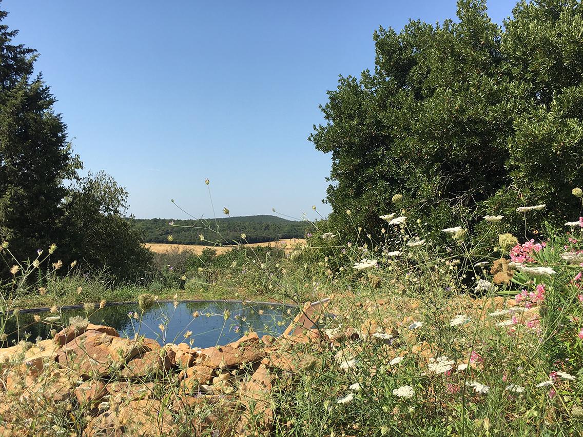 Schönes Ferienloft-Studio Provence - 1