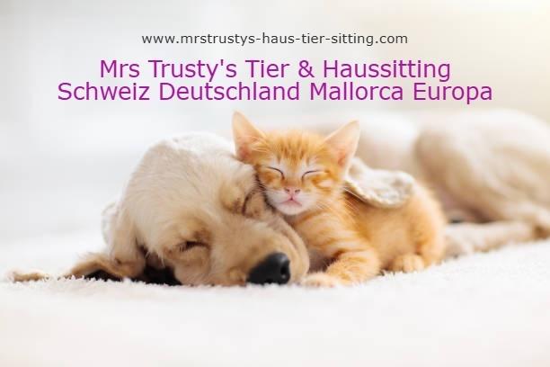 Haussitting / Tierbetreuung ***** - 1