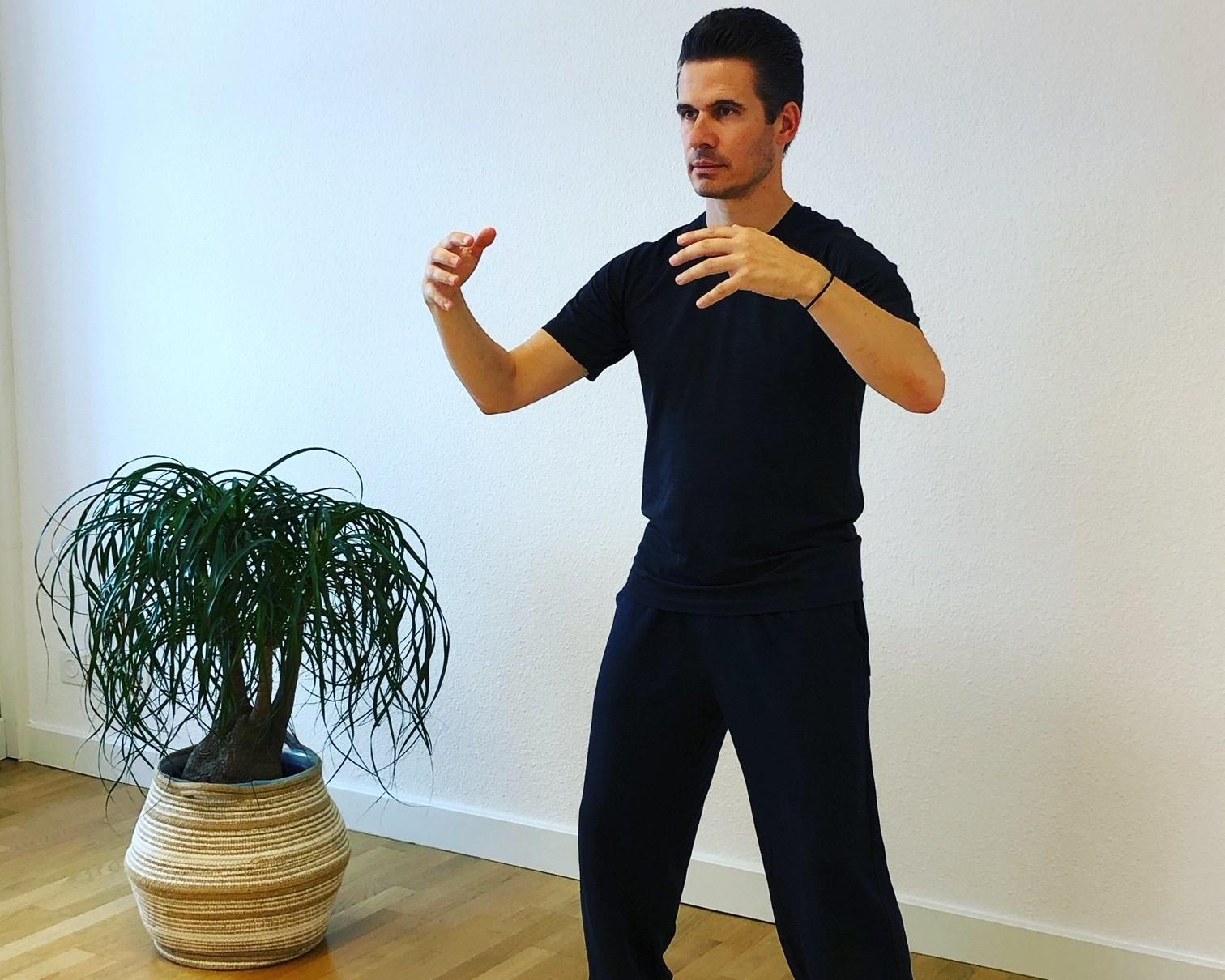 "Stehendes Qi Gong" - Einführungskurs - 1