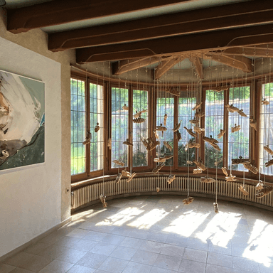 Profile photo of - Kunsthaus Villa Wild