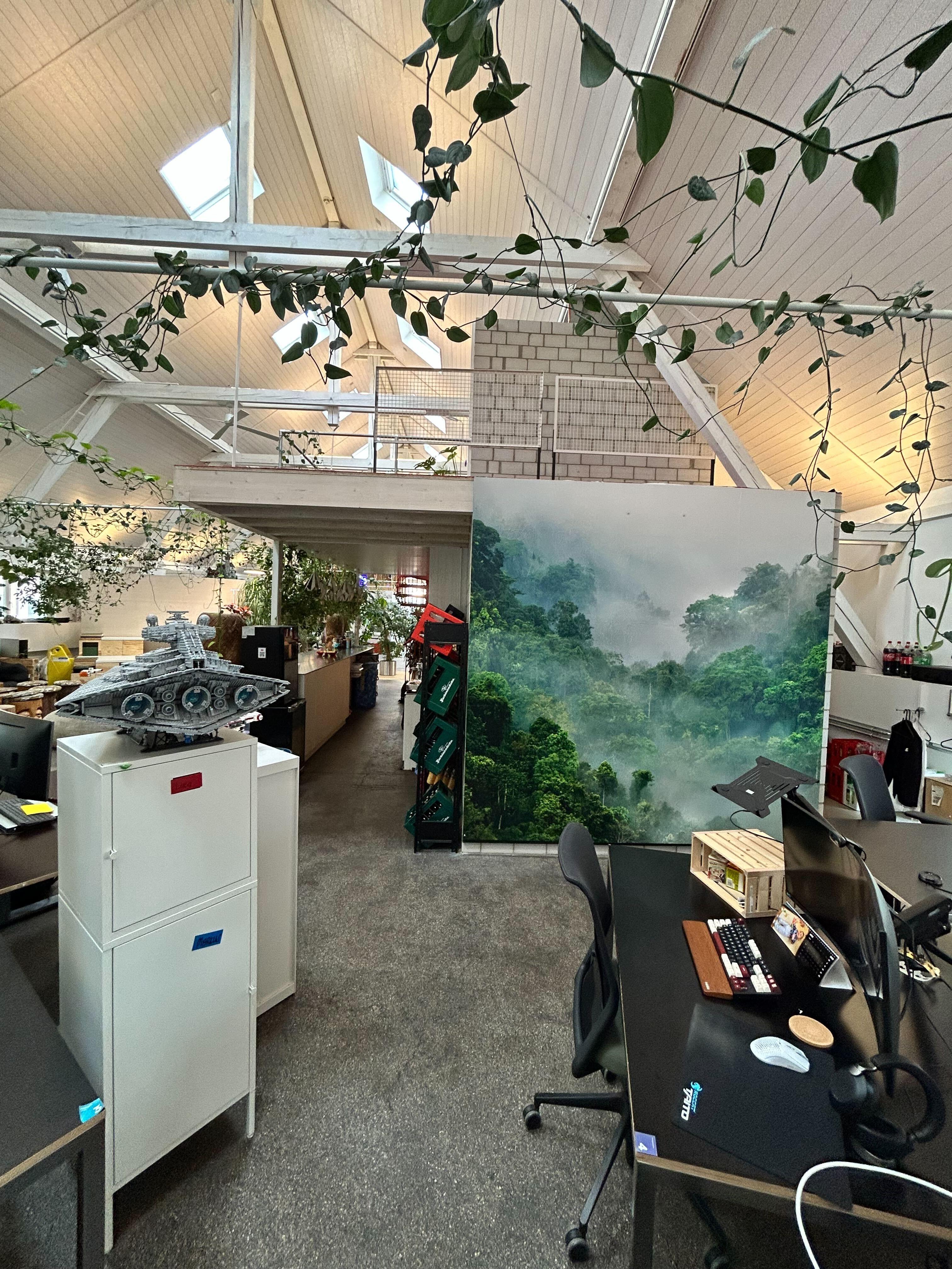Arbeitsplätze in grünem Co-Working-Office mit Sitzungszimmern, Bar und Fitness - 3