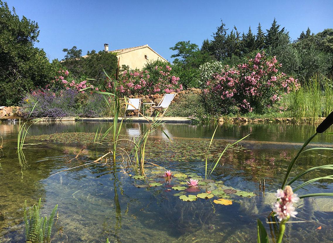 Charmante Ferienwohnung mit privatem Schwimmteich in der Provence - 1