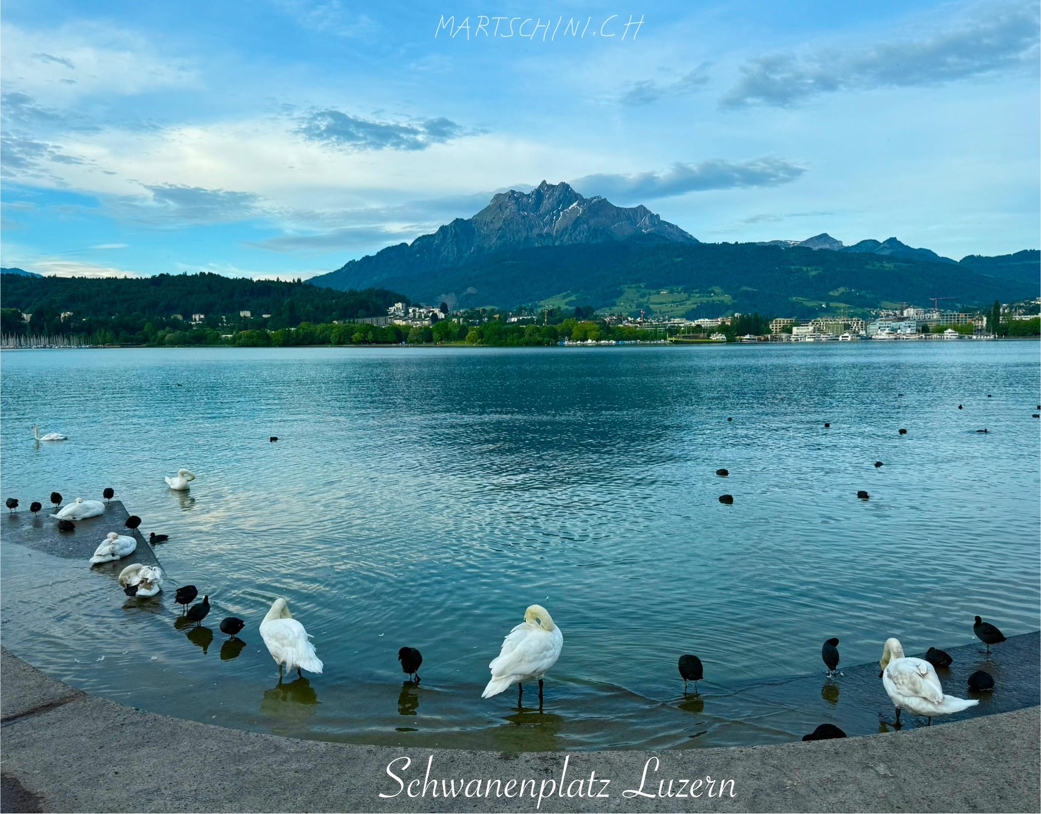 Phototrip image