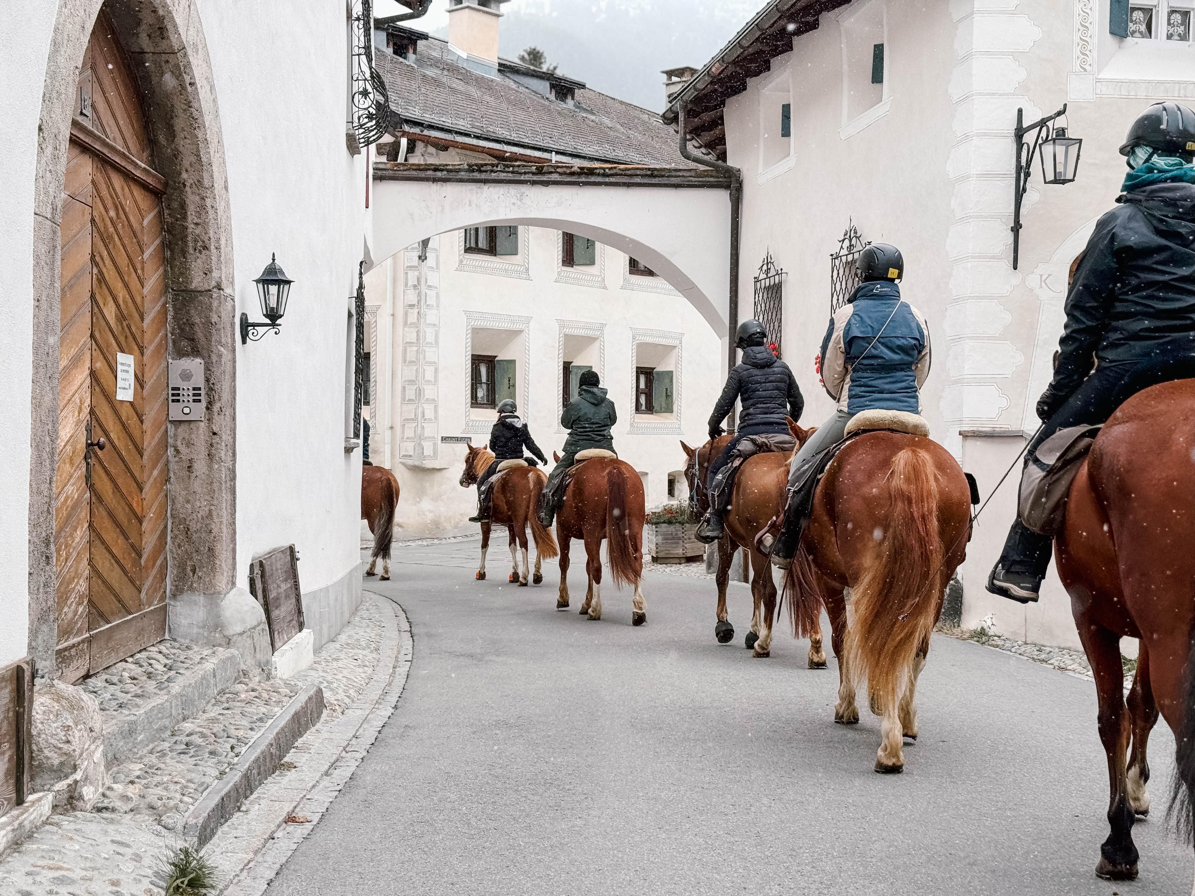 Reiten & Yoga Retreats - 2