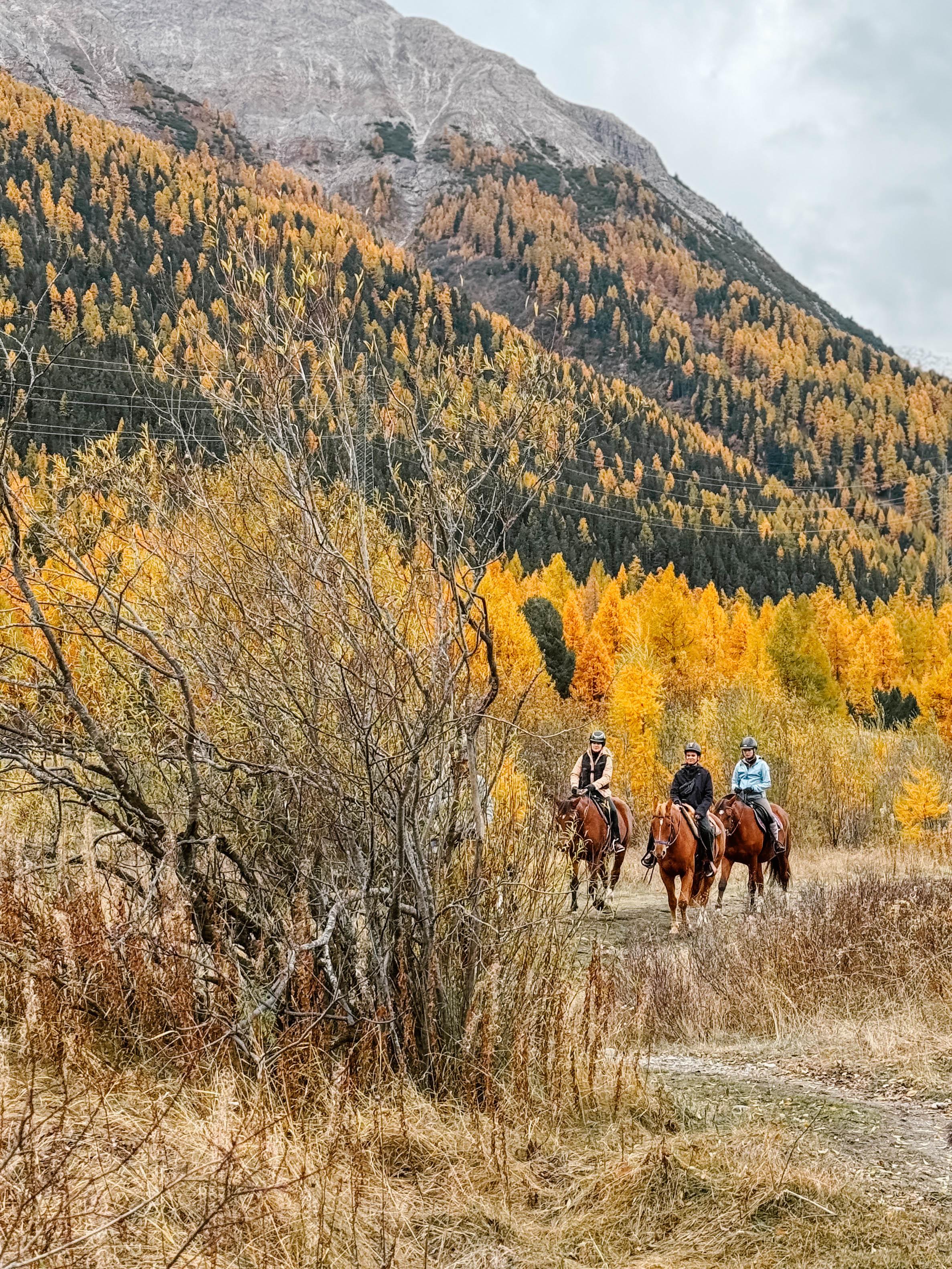 Reiten & Yoga Retreats - 3