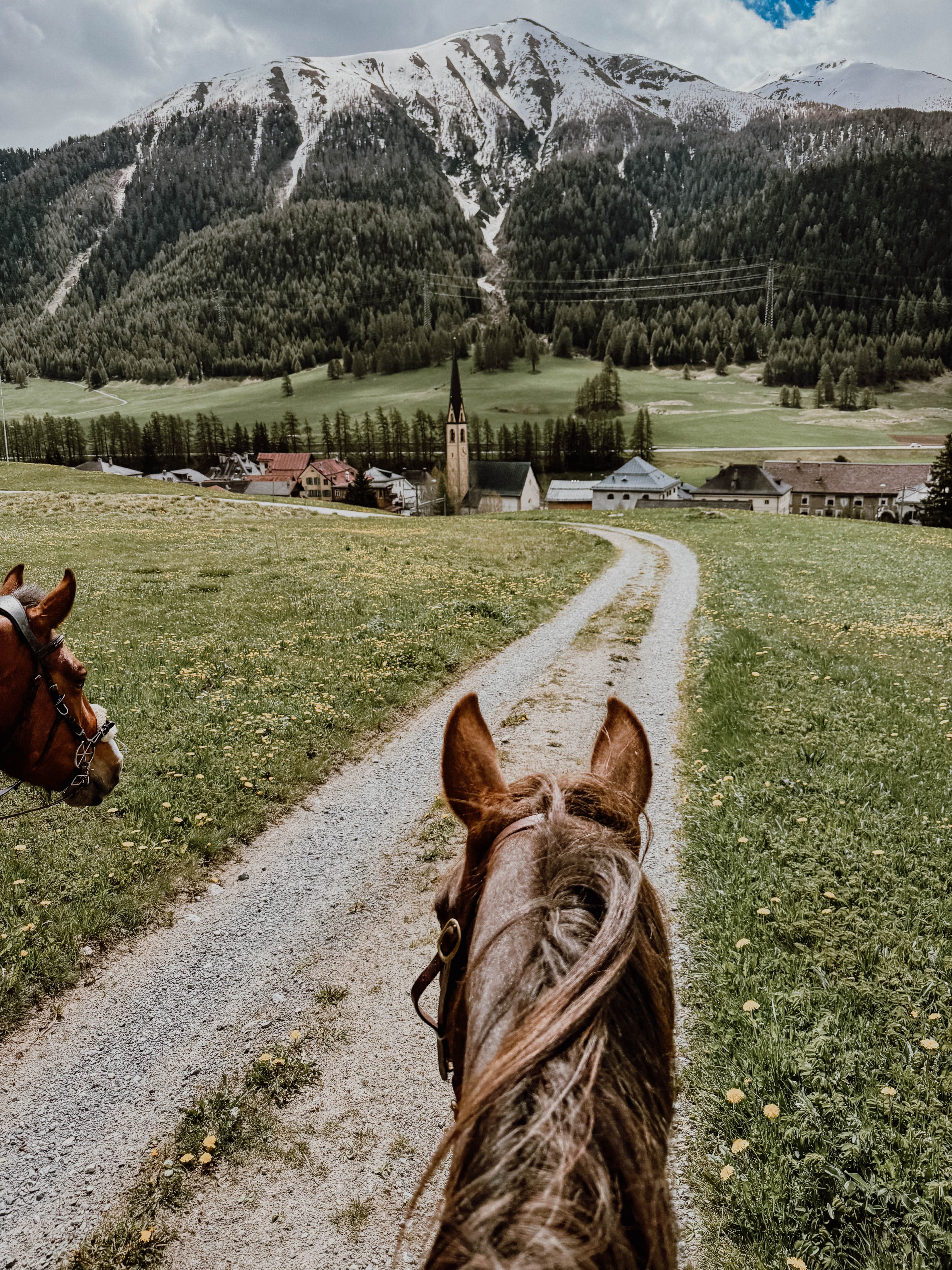 Reiten & Yoga Retreats - 3