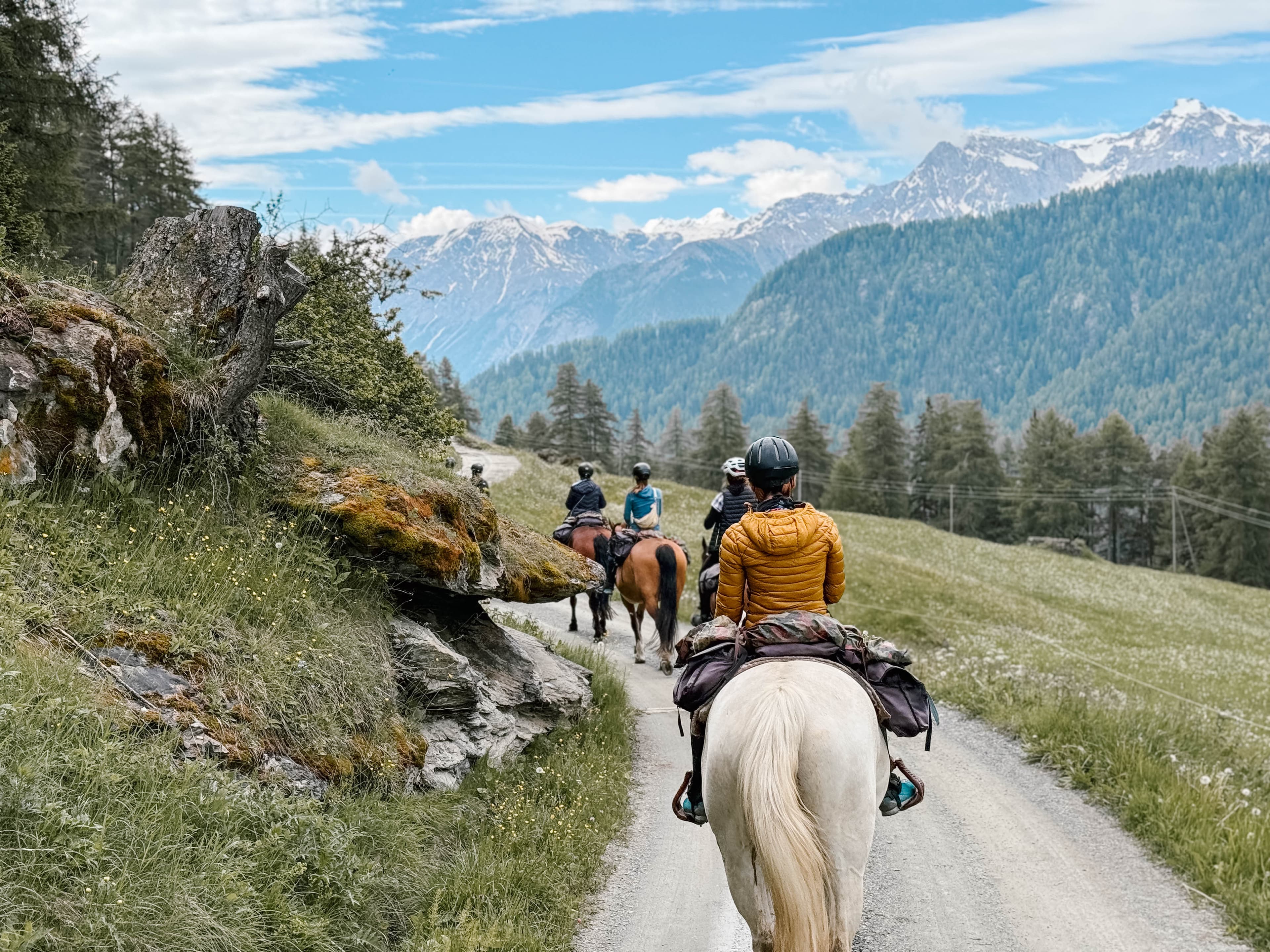 Reiten & Yoga Retreats - 2