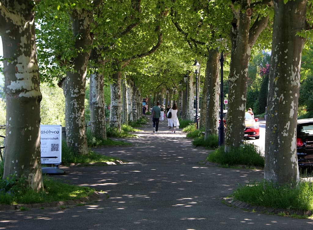 Phototrip image