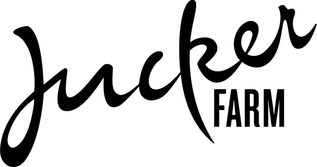 client-box
