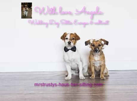 Hochzeit mit Hund & Heiraten in Italien - 1