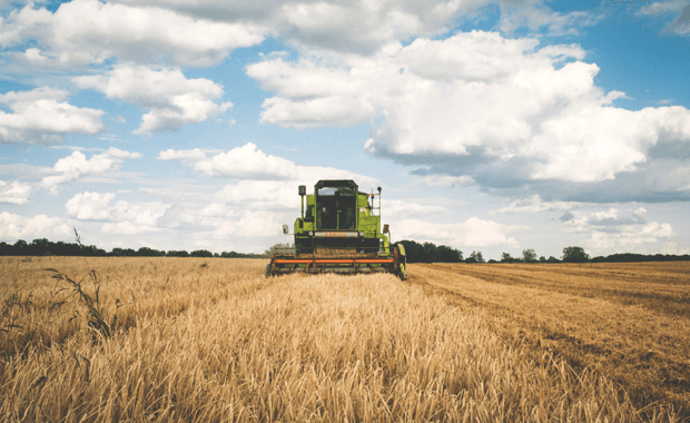 Traumjob in der Landwirtschaft: Quereinsteiger willkommen