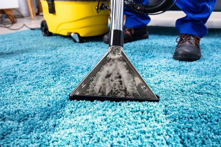 How to Choose the Best Rugs Cleaning Company Near You in 2025: Expert Tips for Deep Cleaning, Stain Removal & Rug Care - 1