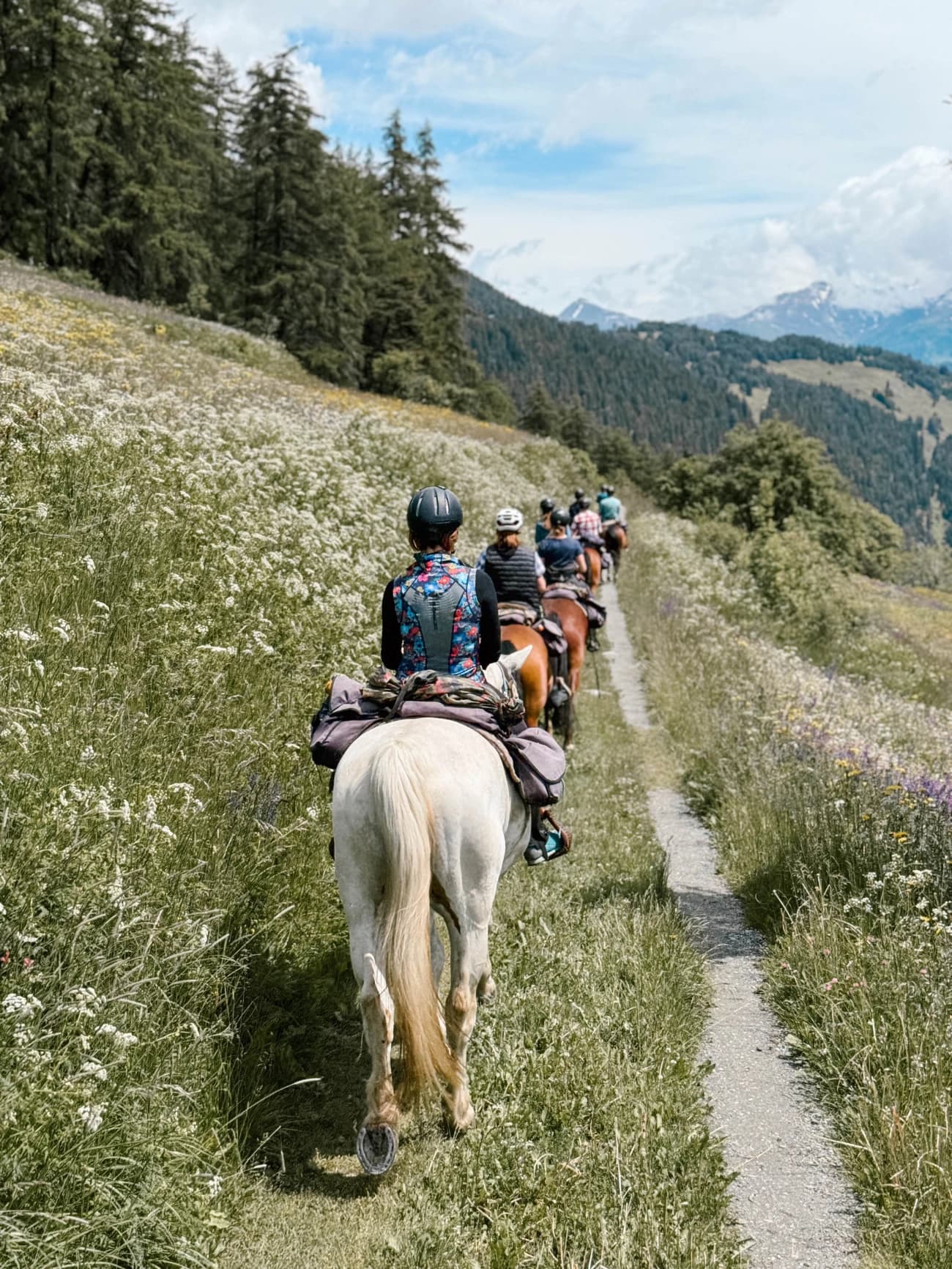 Reiten & Yoga Retreats - 2