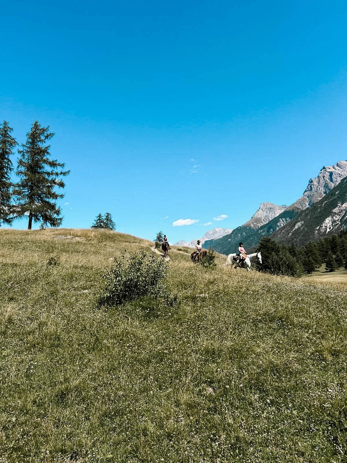 Reiten & Yoga Retreats - 3