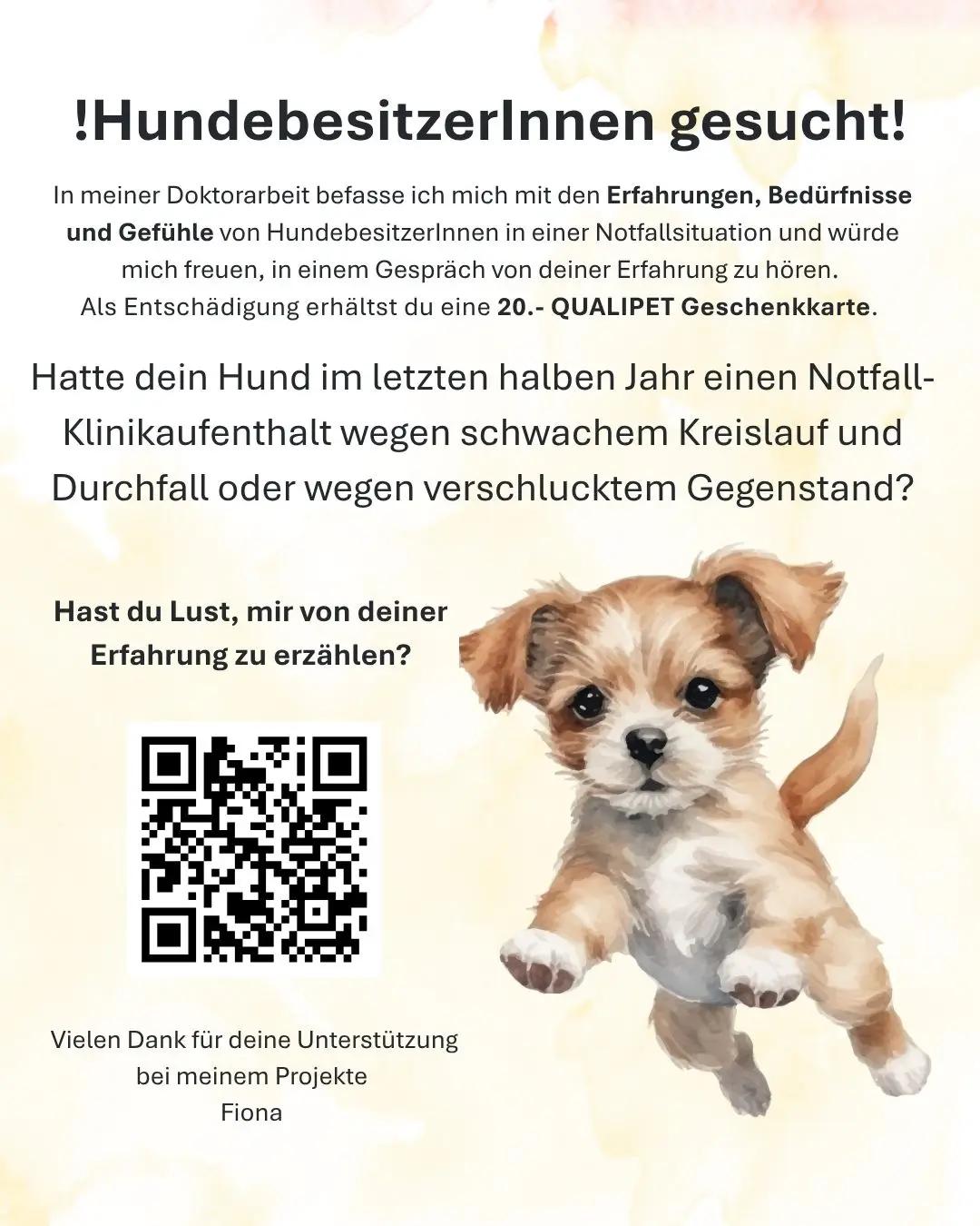 Hundebesitzerinnen und Hundebesitzer für ein Gespräch gesucht! - 1