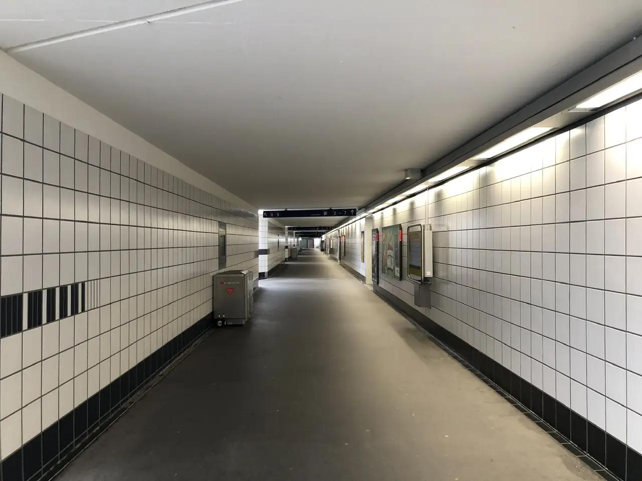 Phototrip image