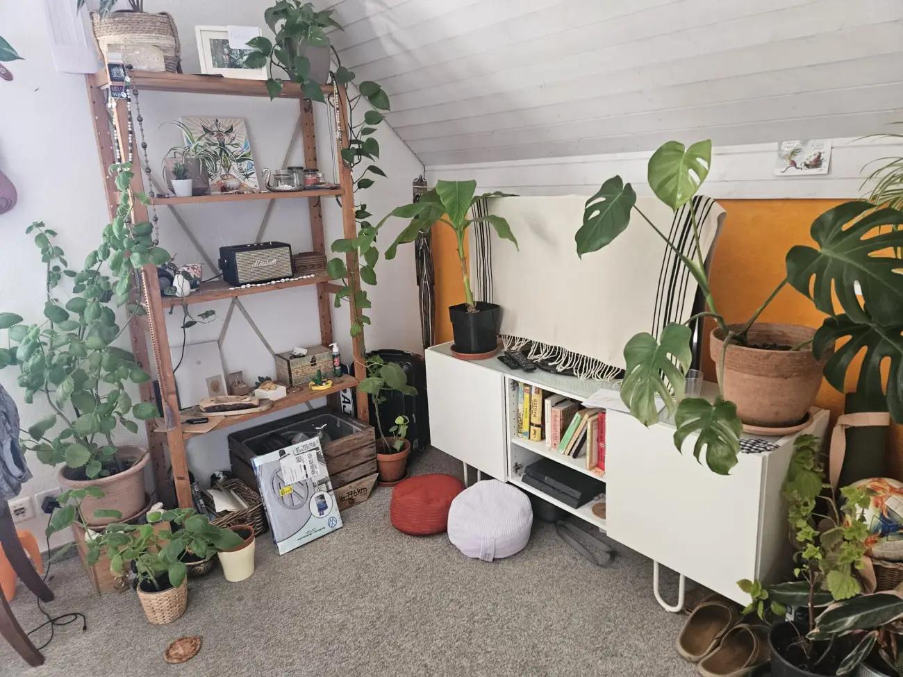 Schönes, sonniges Zimmer zwischen Zürich und Winterthur zu vermieten - 2